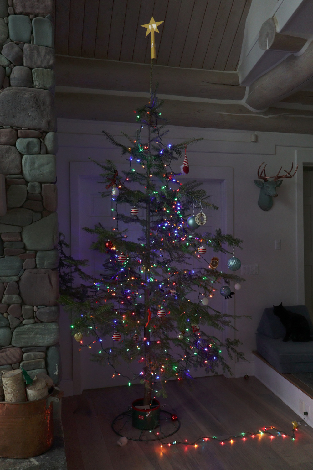 The same data, processed automatically by camera to
        make a pretty nice photo.